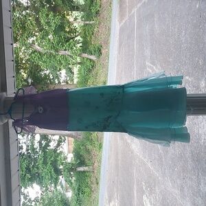 Disney Ariel Costume